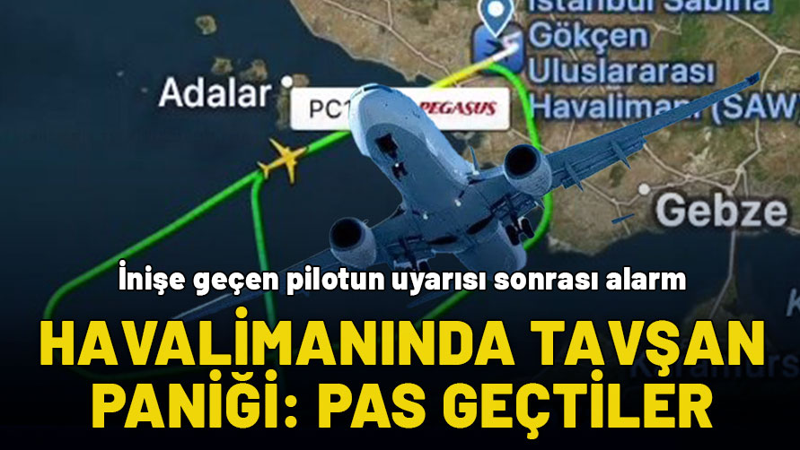 İstanbul'da havalimanında tavşan alarmı verildi: Bir uçak pisti pas geçmek zorunda kaldı