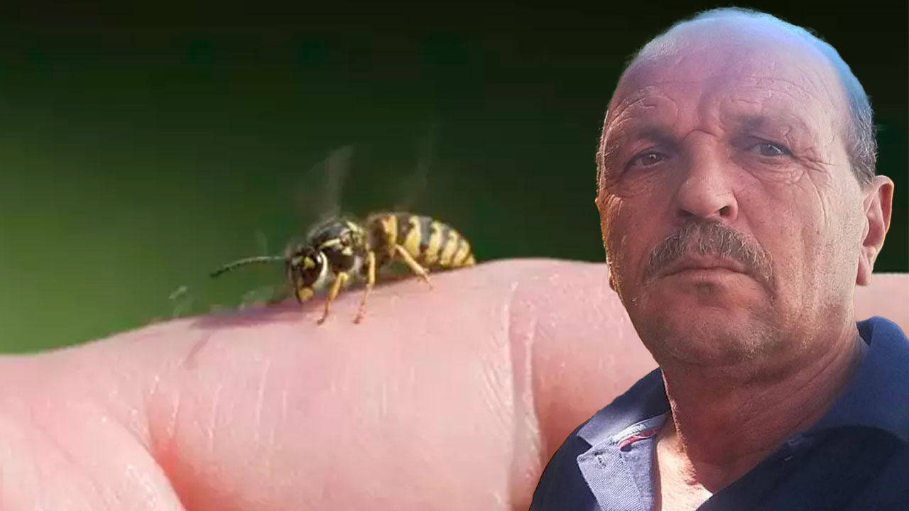 Arı soktu anaflaktik şoka girdi! 55 yaşındaki adam 3 gün sonra can verdi