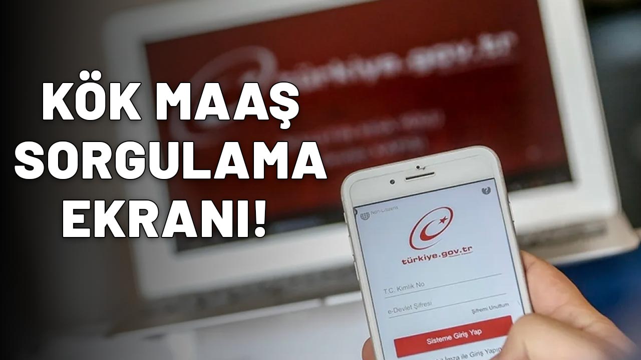 e-DEVLET KÖK MAAŞ ROBOTU|SSK- Bağ-kur- kök maaş hesaplama ekranı: Kök maaşınızı hemen bulun!