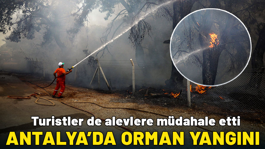 Antalya'da orman yangını
