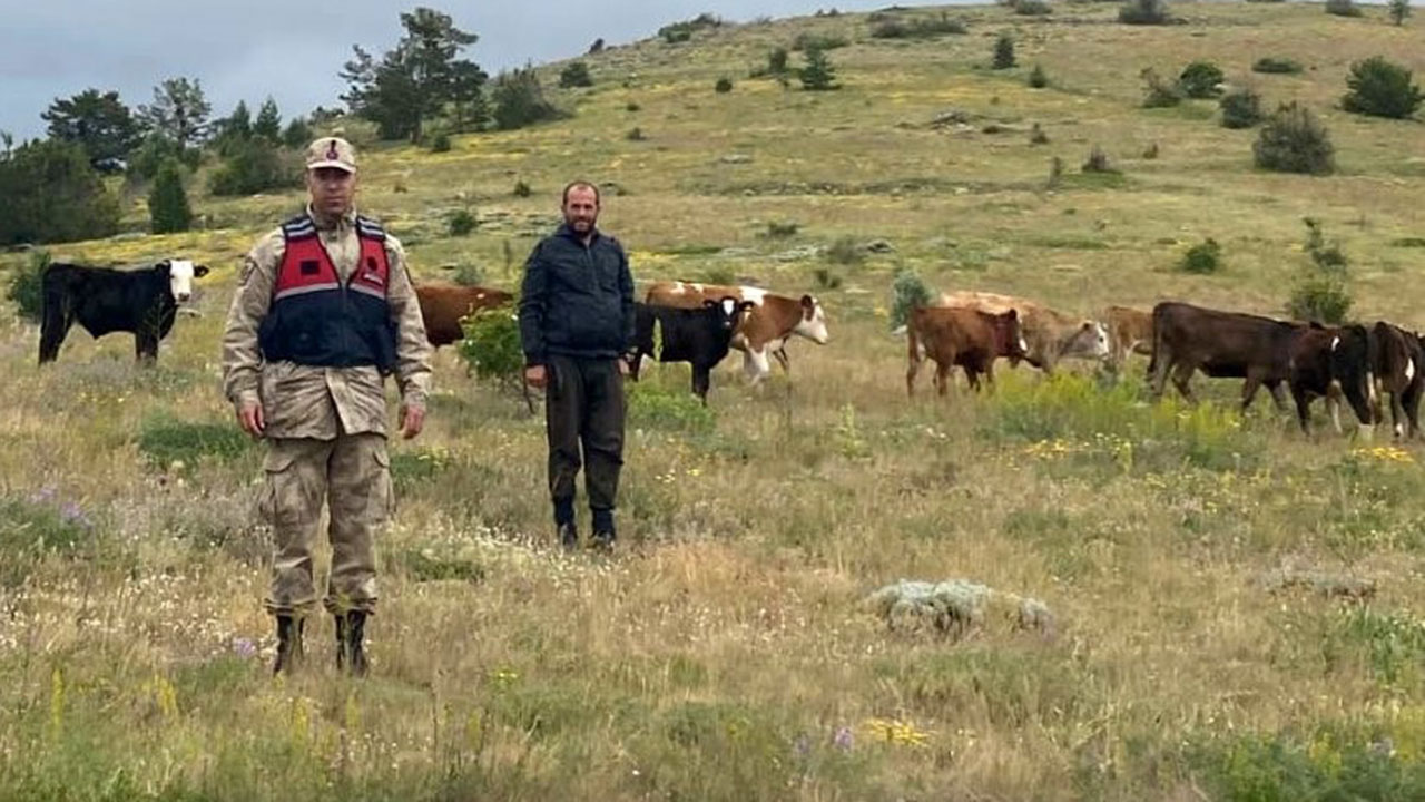 Erzincan'da kaybolan 19 büyükbaş drone ile Giresun sınırında bulundu