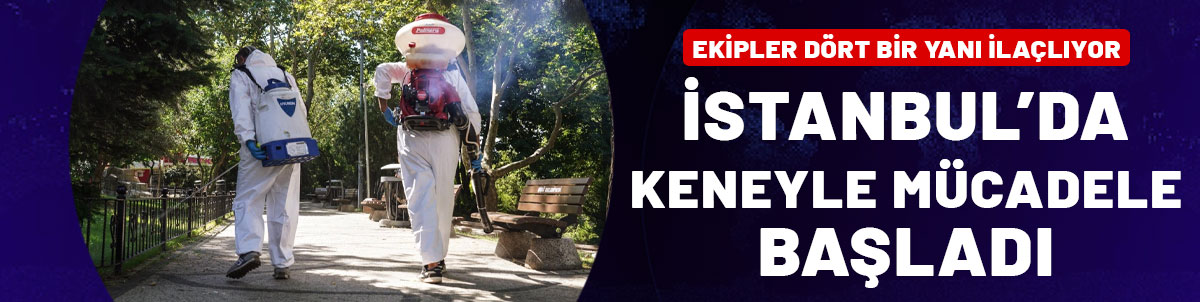 İstanbul'da keneyle mücadele başladı: Belediye ekipleri dört bir yanı ilaçlıyor