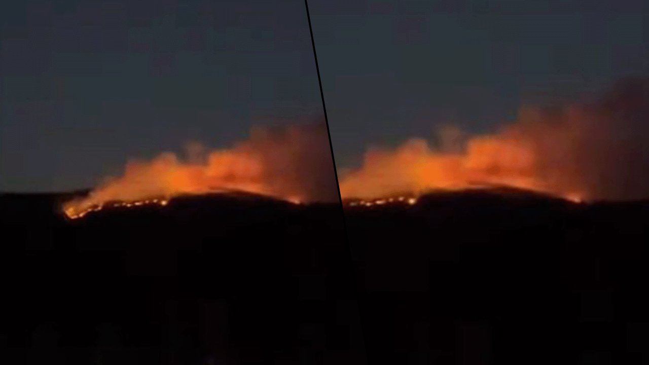 Çankırı’da orman yangını