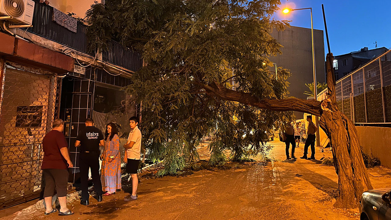 Balkonda kahvesini içerken ölümden döndü: Bir anda neye uğradığını şaşırdı
