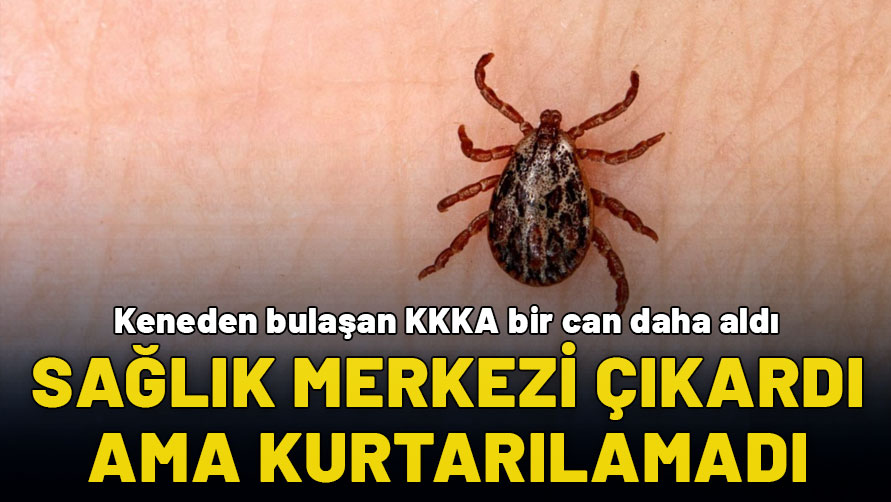 Kene bir can daha aldı: Sağlık kuruluşunda keneyi çıkarttırmıştı ama...