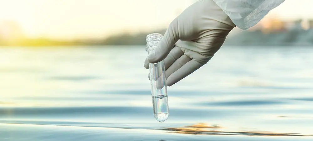 VİBRİO ENFEKSİYONU NEDİR? Vibrio enfeksiyonu nasıl bulaşır, vibrio enfeksiyonunun belirtileri nelerdir?