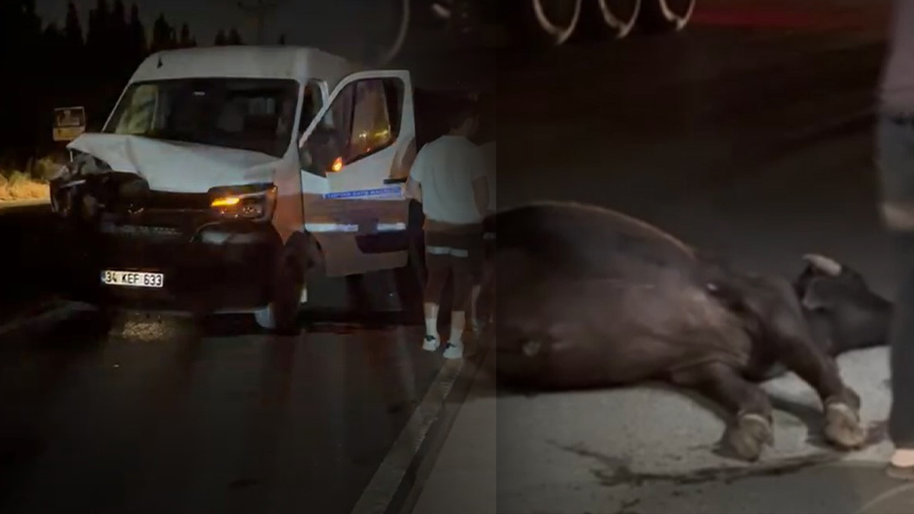 Arnavutköy'de zincirleme 'Manda' kazası: 3 yaralı 1 telef