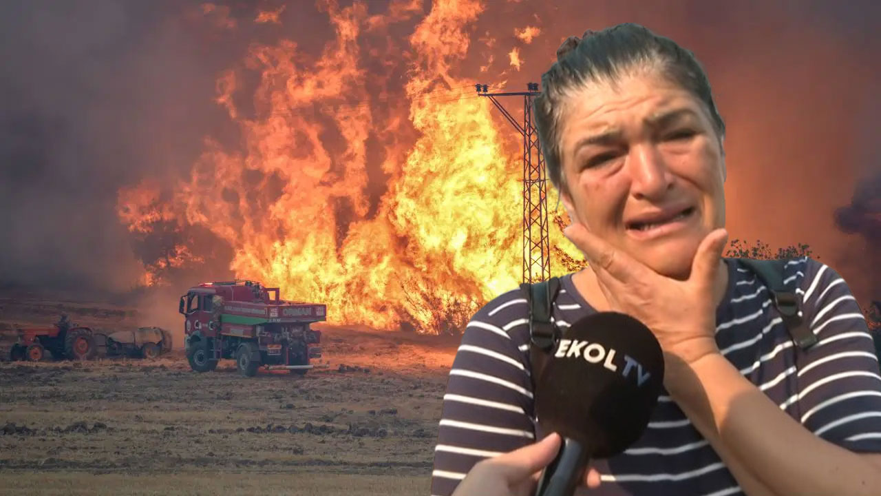 Bilecik’te yangın evleri küle çevirdi: Hayvanlarım öldü sandım, çok ağladım!