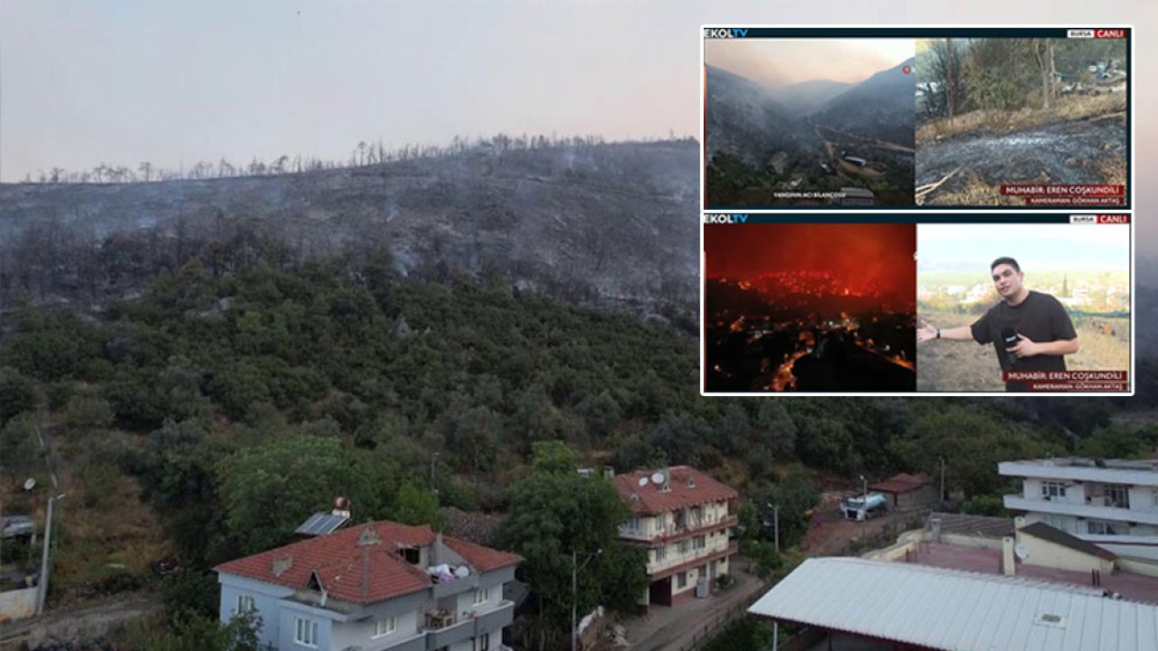 Bursa'da rüzgar şiddetini artırıyor: Sönen bölgede alevler tekrar yükseliyor!