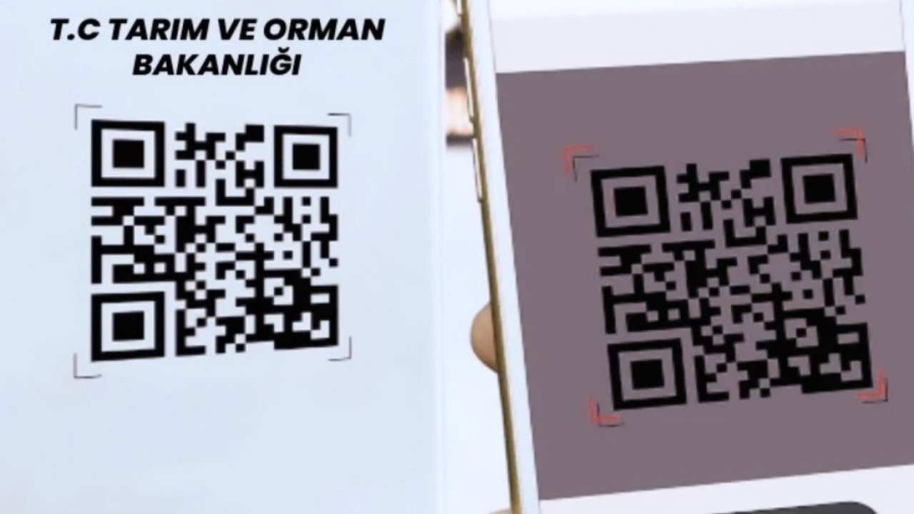 Tüketici dönemi resmen başladı! Tabağınızdaki yemeğin ne kadar güvenli olduğunu artık siz öğreneceksiniz