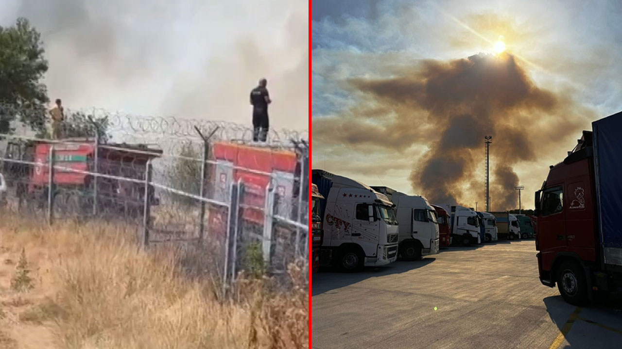 Bulgaristan'daki yangın Türkiye sınırına dayandı!