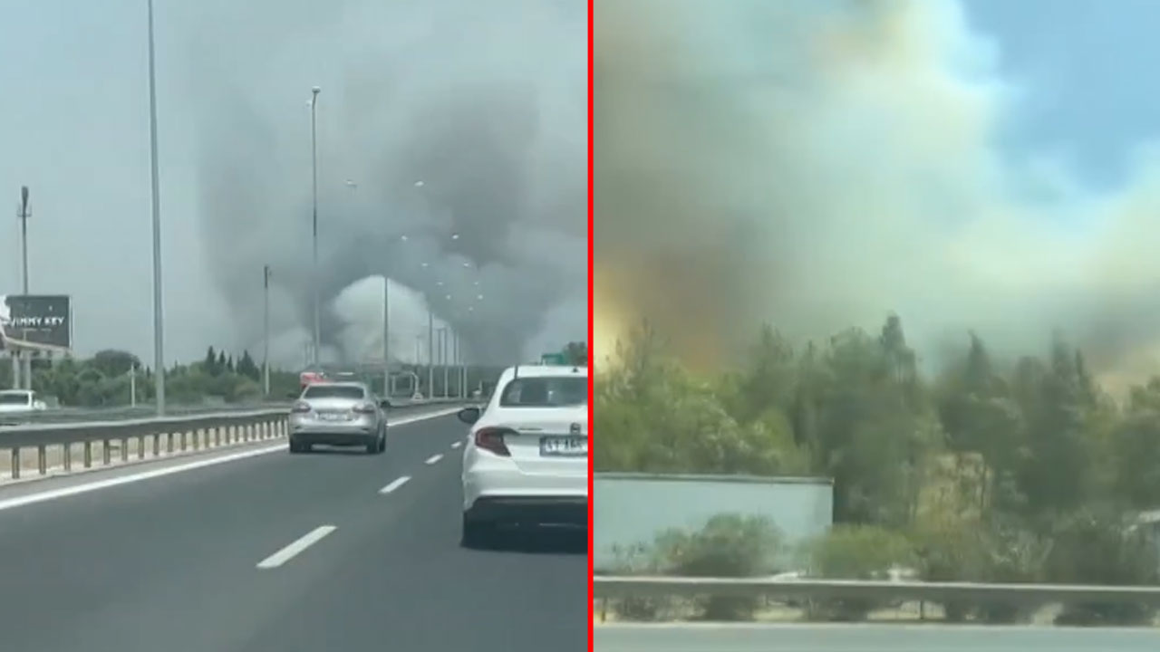 İzmir Bornova'da orman yangını!