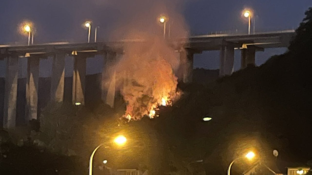 Beykoz'da ormanlık alanda yangın çıktı!