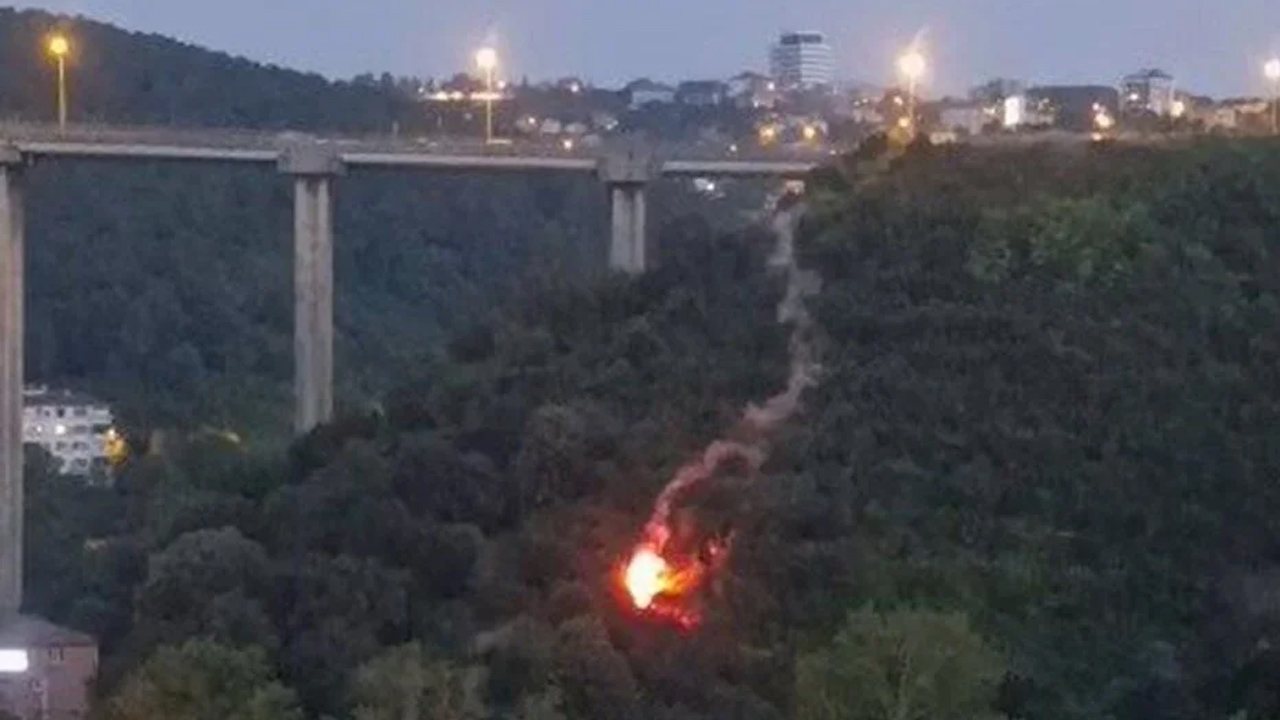 Beykoz'da işaret fişeğiyle yangın çıkarmıştı! Tutuklandı