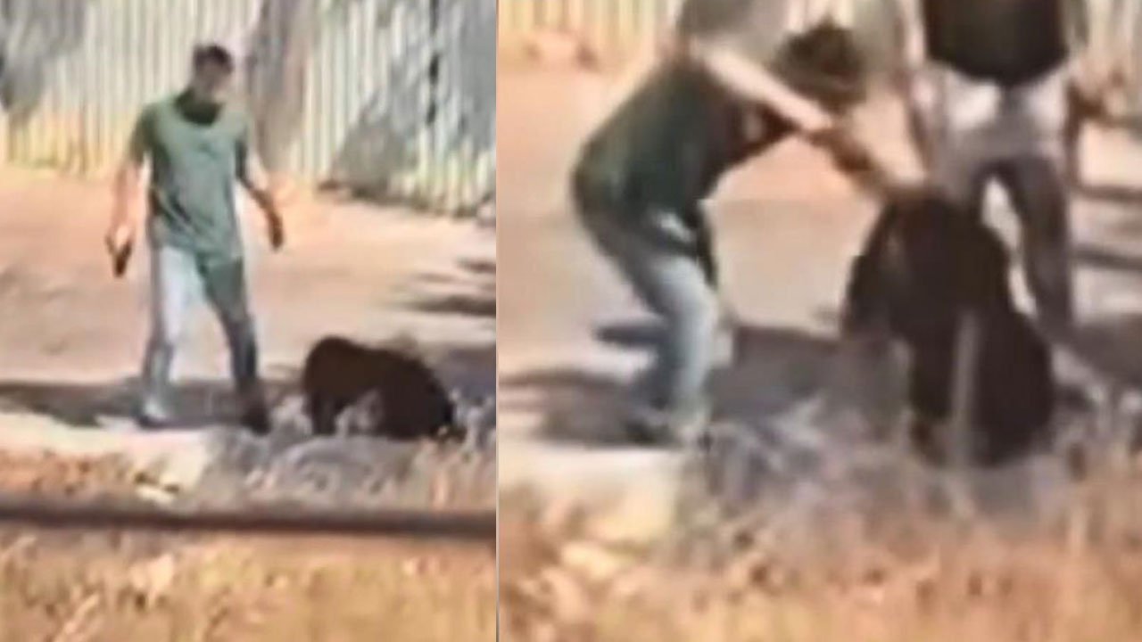 Sokak ortasında kadını darp edip kafasına silah dayamıştı! İfadesine Ekol TV ulaştı
