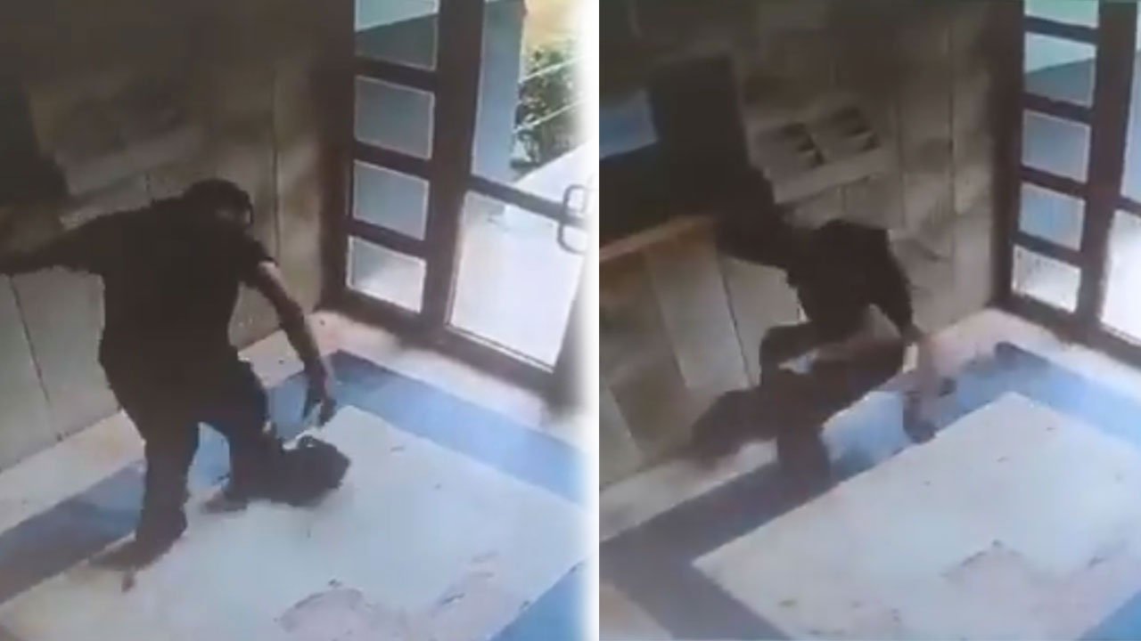 Kediyi vahşice öldürmüştü! İfadesinde “Can düşmanım olarak gördüm” dedi