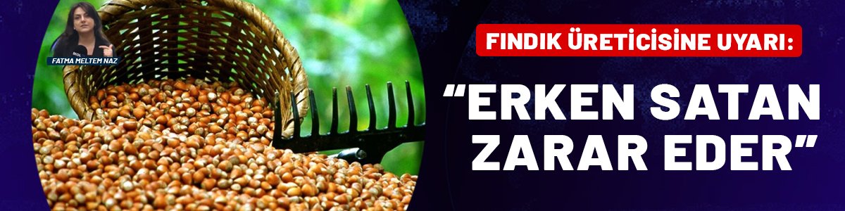 Fındık üreticisine uzmanlardan uyarı: Erken satan zarar eder!