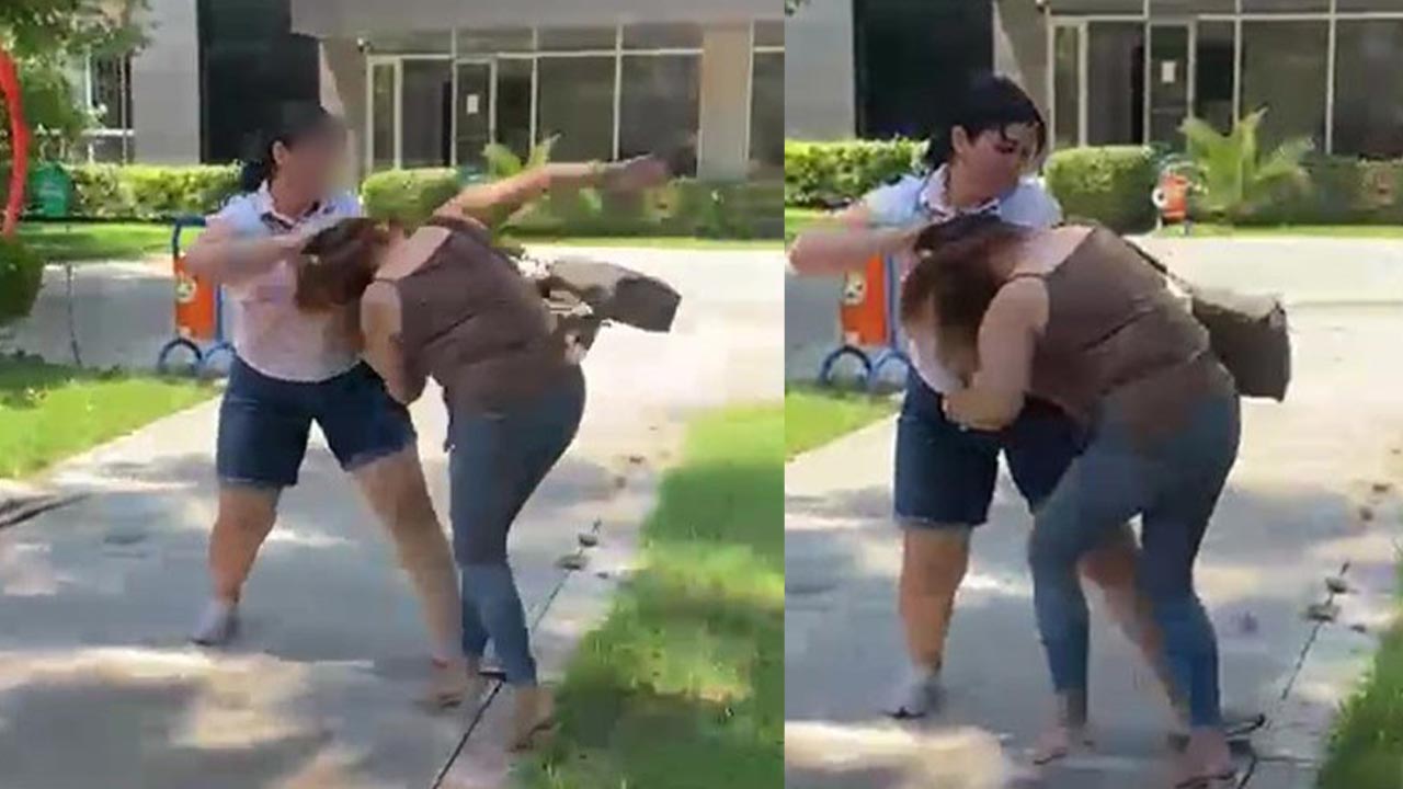 Kocasını parkta aldatırken bastı: Kadını saçından tutup böyle sürükledi!