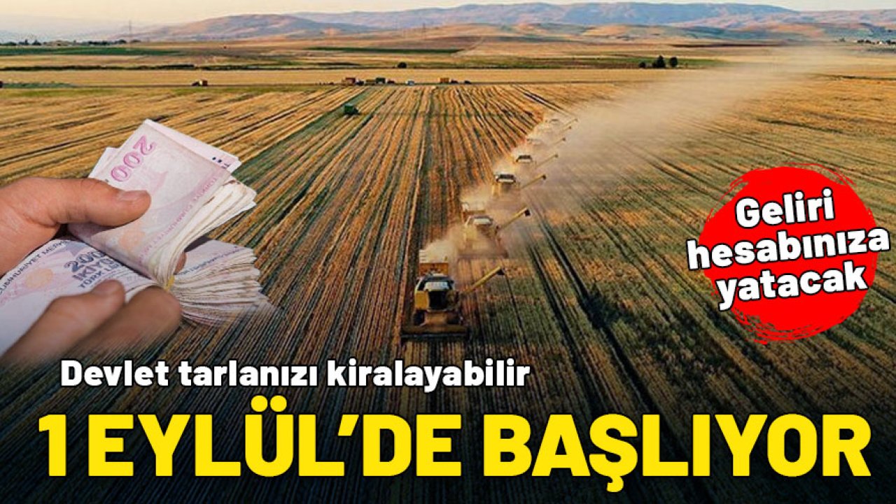 1 Eylül’de başlıyor: İki yıl ekilmeyen araziler devlet eliyle kiralanacak