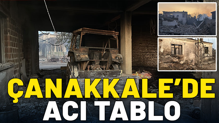 Çanakkale'de orman yangını: Gün ağarınca acı tablo ortaya çıktı