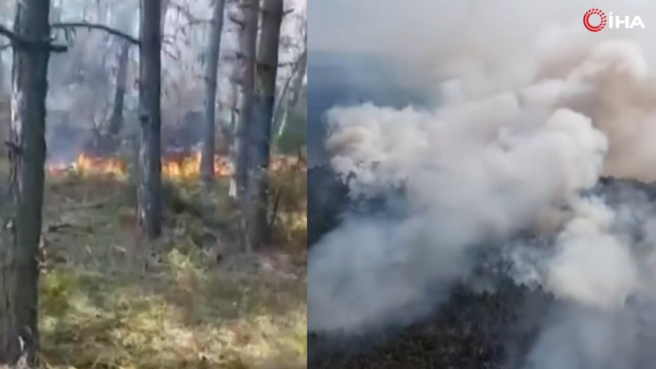 Sinop'ta korkutan yangın: Ormanlık alanda başladı, köy tahliye edildi!