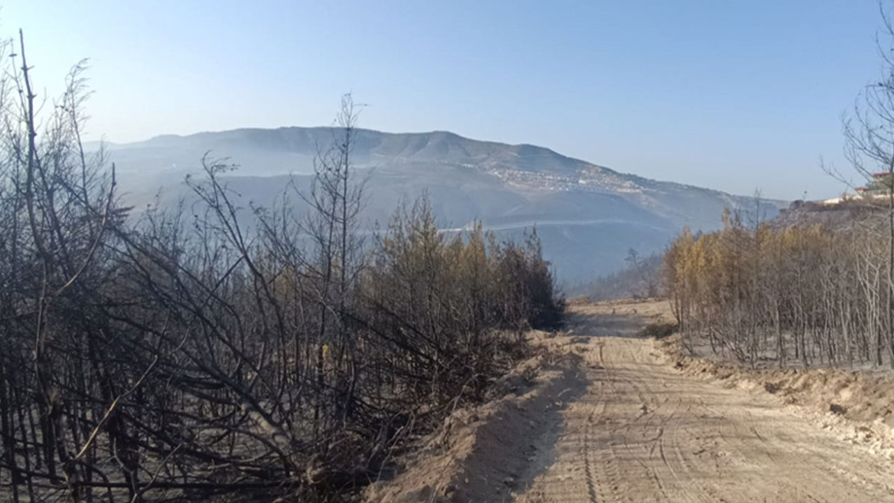 Hatay'daki orman yangını 16,5 saat sonra kontrol altına alındı