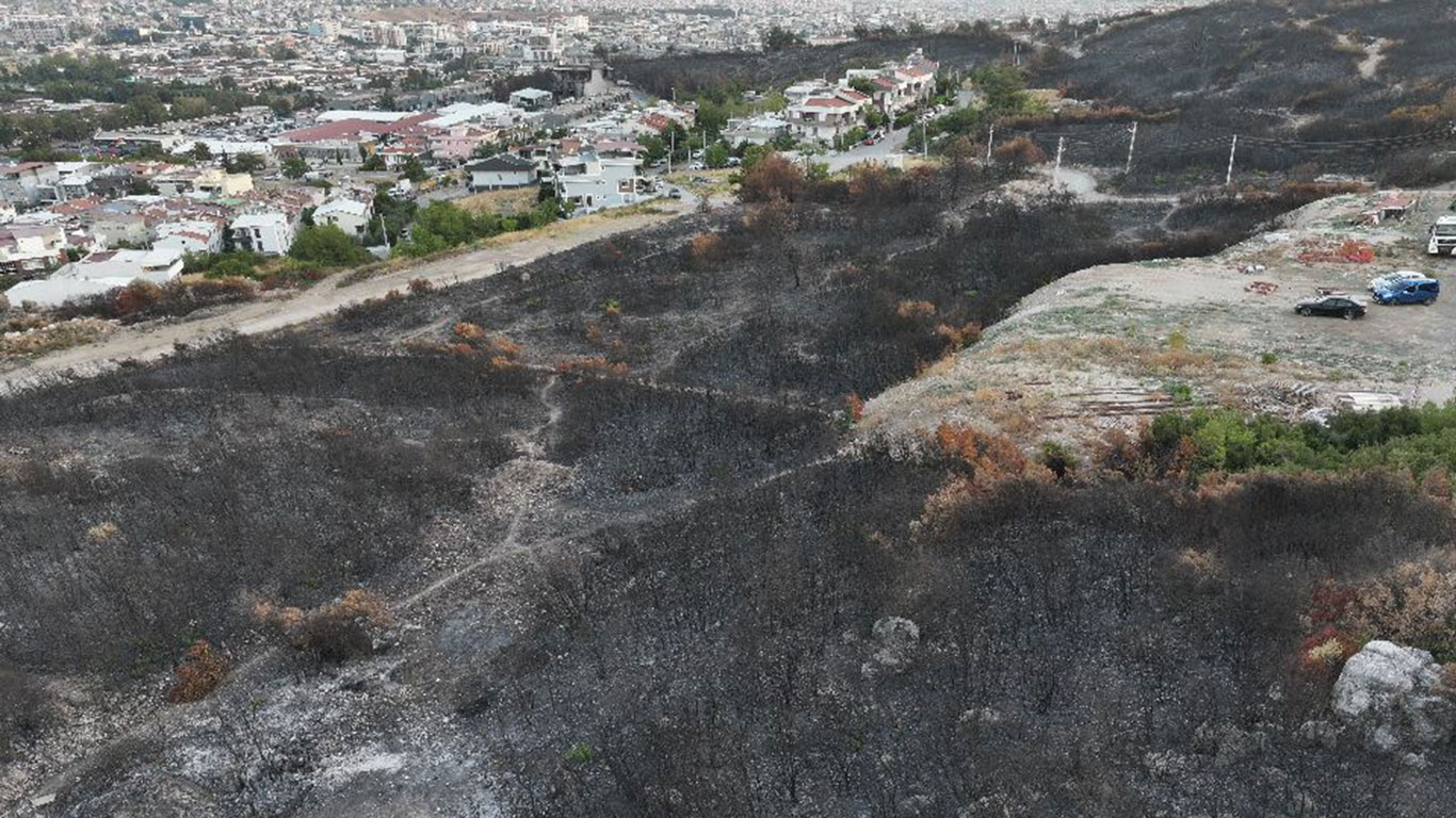 İzmir Buca'da yangın dehşeti... Evlere metreler kala durdu: 3 şüpheli gözaltına alındı