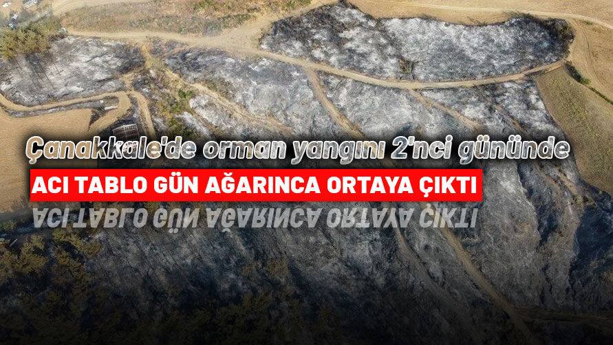 Çanakkale'de orman yangını 2'nci gününde; Acı tablo gün ağarınca ortaya çıktı!