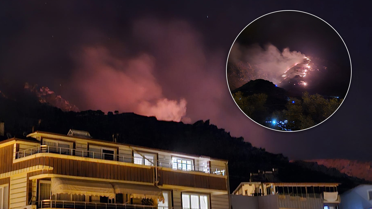 Marmara Adası'nda orman yangını! Evlere sıçramaması için mücadele ediliyor