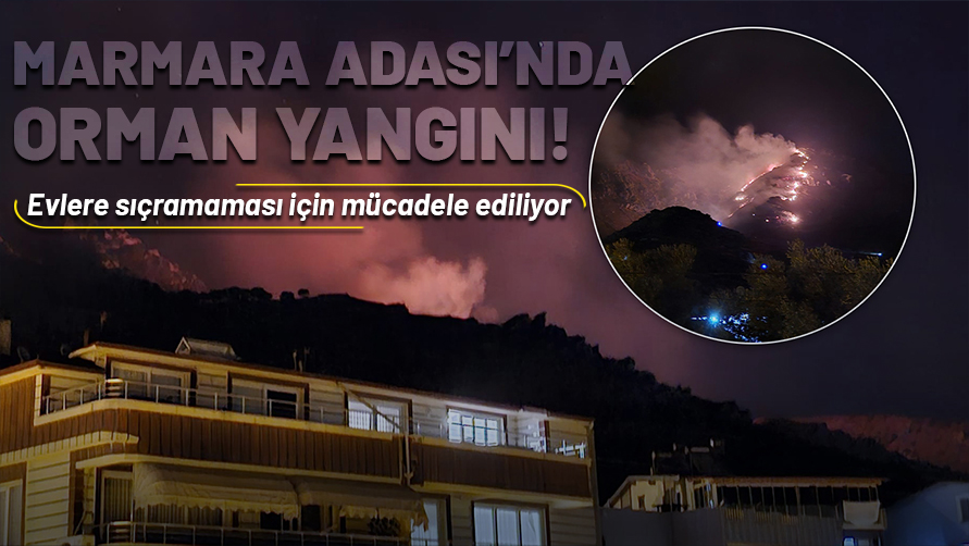 Marmara Adası'nda orman yangını! Evlere sıçramaması için mücadele ediliyor