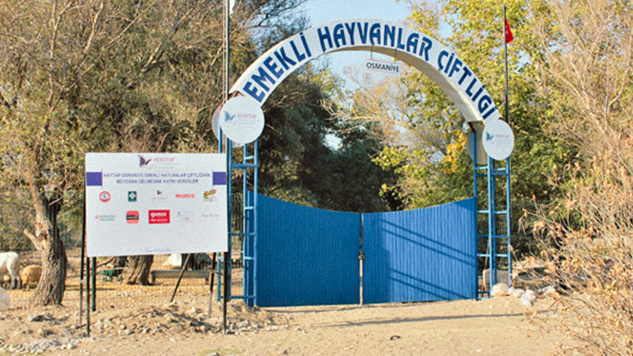 Zor durumdaki hayvanların adresi: Emekli Hayvanlar Çiftliği