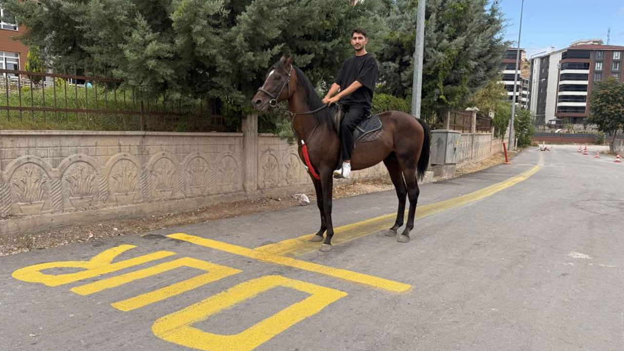 Direksiyon sınavı heyecanını yenmek için parkuru atla tamamladı!