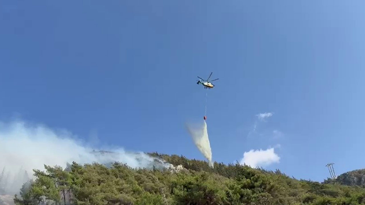 Hatay'da orman yangını!