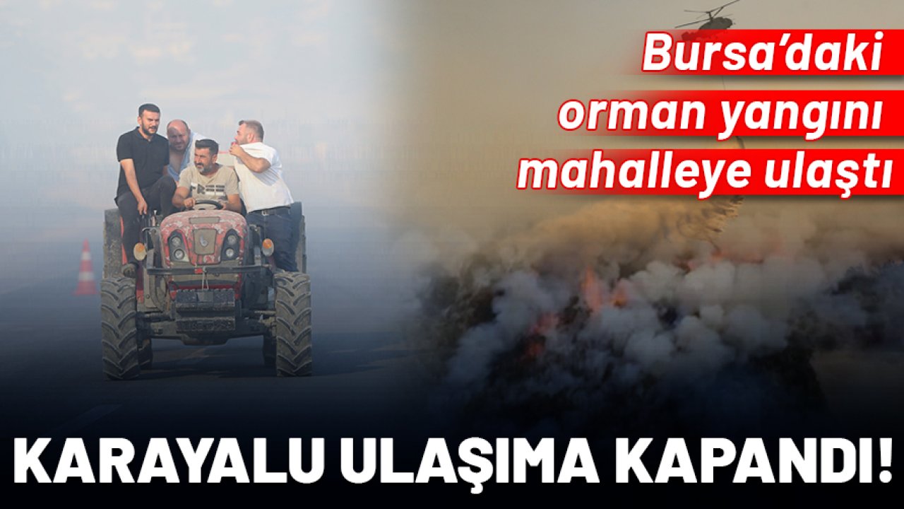 Bursa’daki orman yangını mahalleye ulaştı: Karayolu ulaşımı kapatıldı!