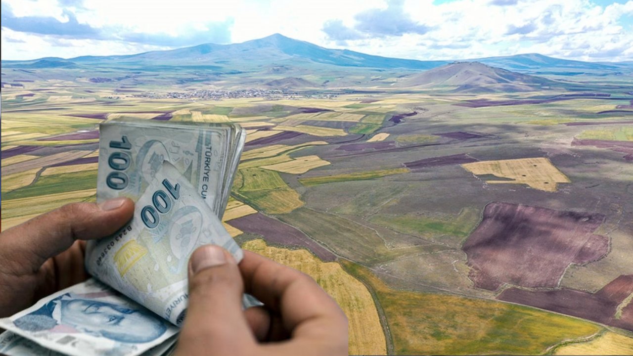Yeni düzenleme başladı: 2 yıl ekilmeyen arazi kiralanacak! En yüksek teklifi veren işletecek