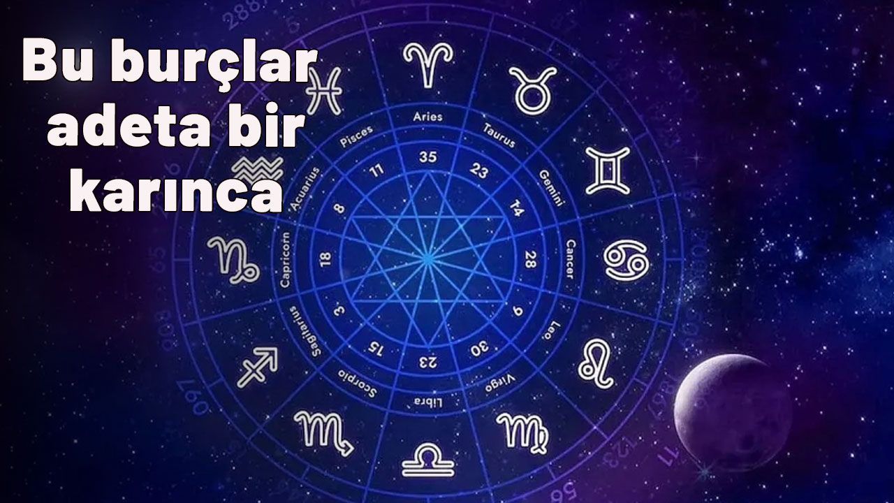 Bu burçlar adeta bir karınca! Çok çalışıp zengin oluyorlar