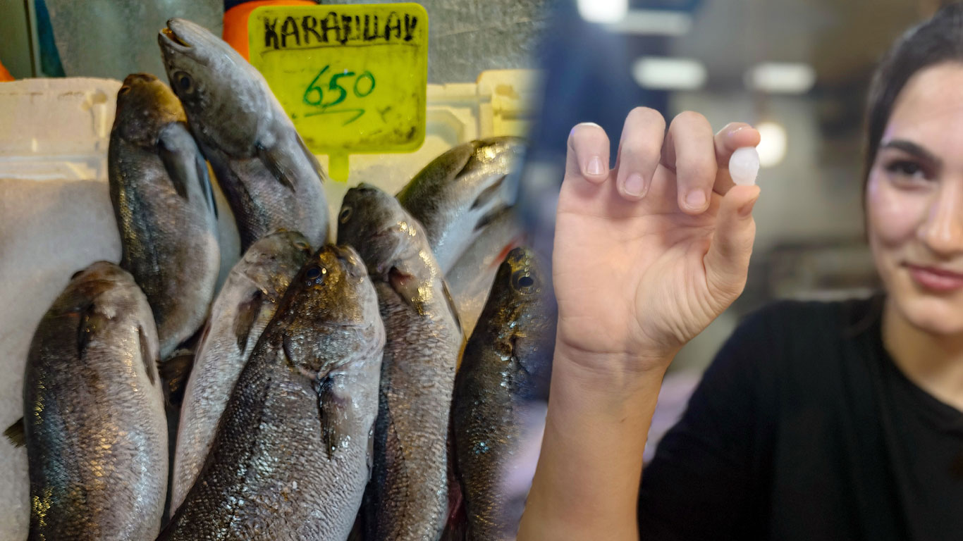 Balığın kendisi 650 lira ama kafasından çıkan taşın değeri 10 bin lira!