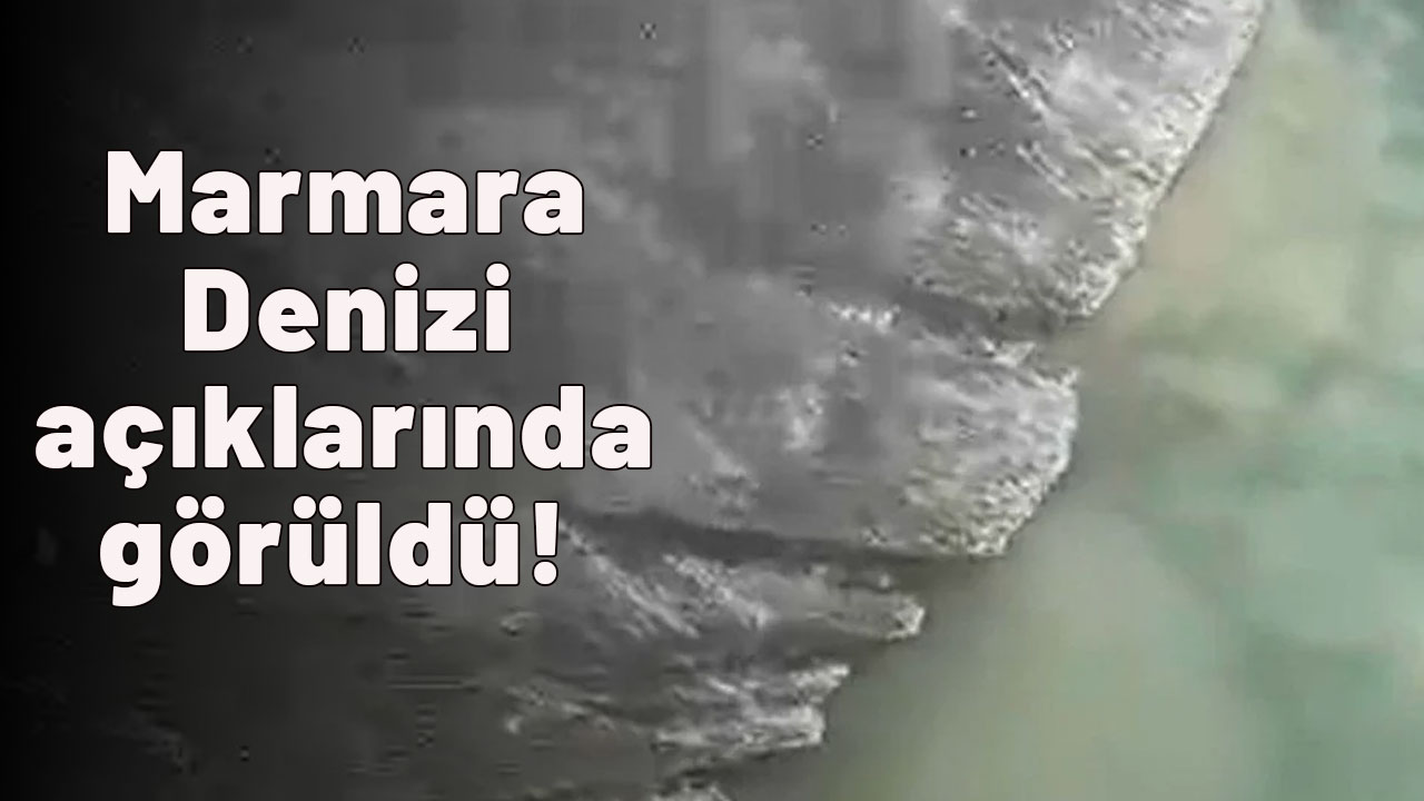 Eylül ayında tehlike kendisin gösterdi! Marmara Denizi açıklarında korkunç görüntü