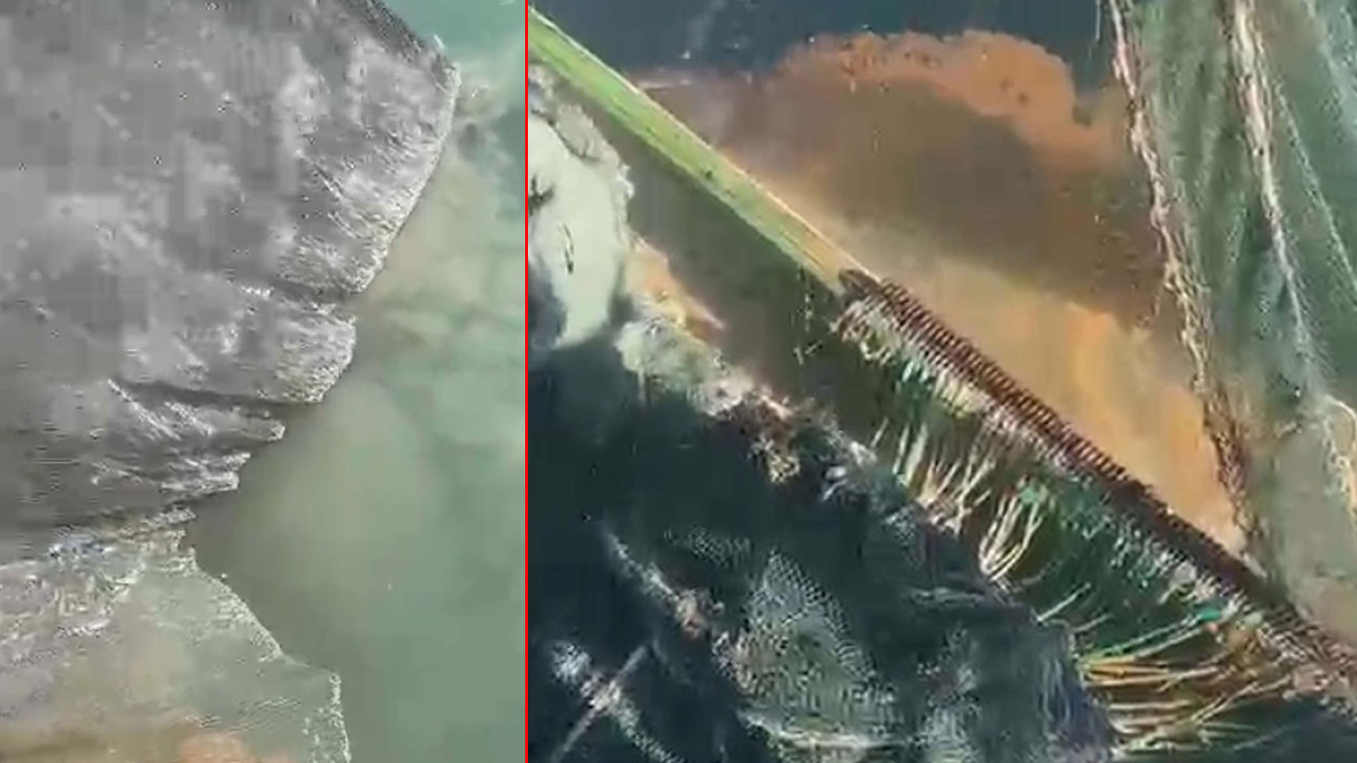 Marmara tarihinde bir ilk! Güney kesiminde görüldü, balık avı sezonu erken kapanabilir