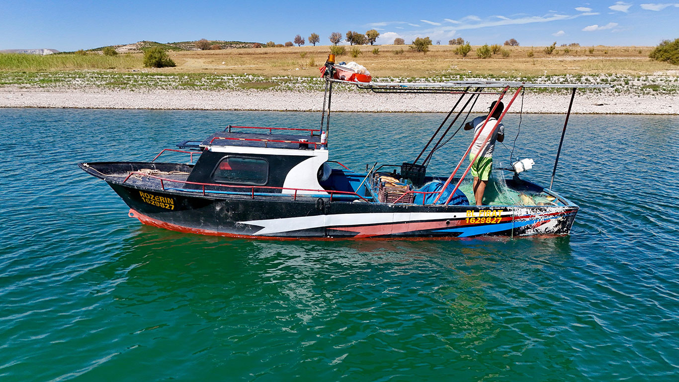 Denizi olmayan Tunceli'de balık tutup 200 bin lira kazanıyor
