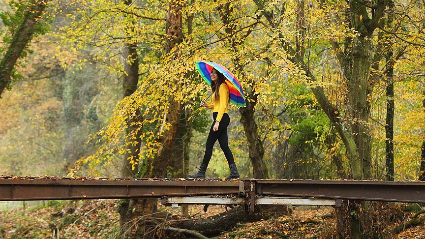 Sonbahar ekinoksu için geri sayım başladı! Gece gündüz eşitlenecek, mevsim değişiyor
