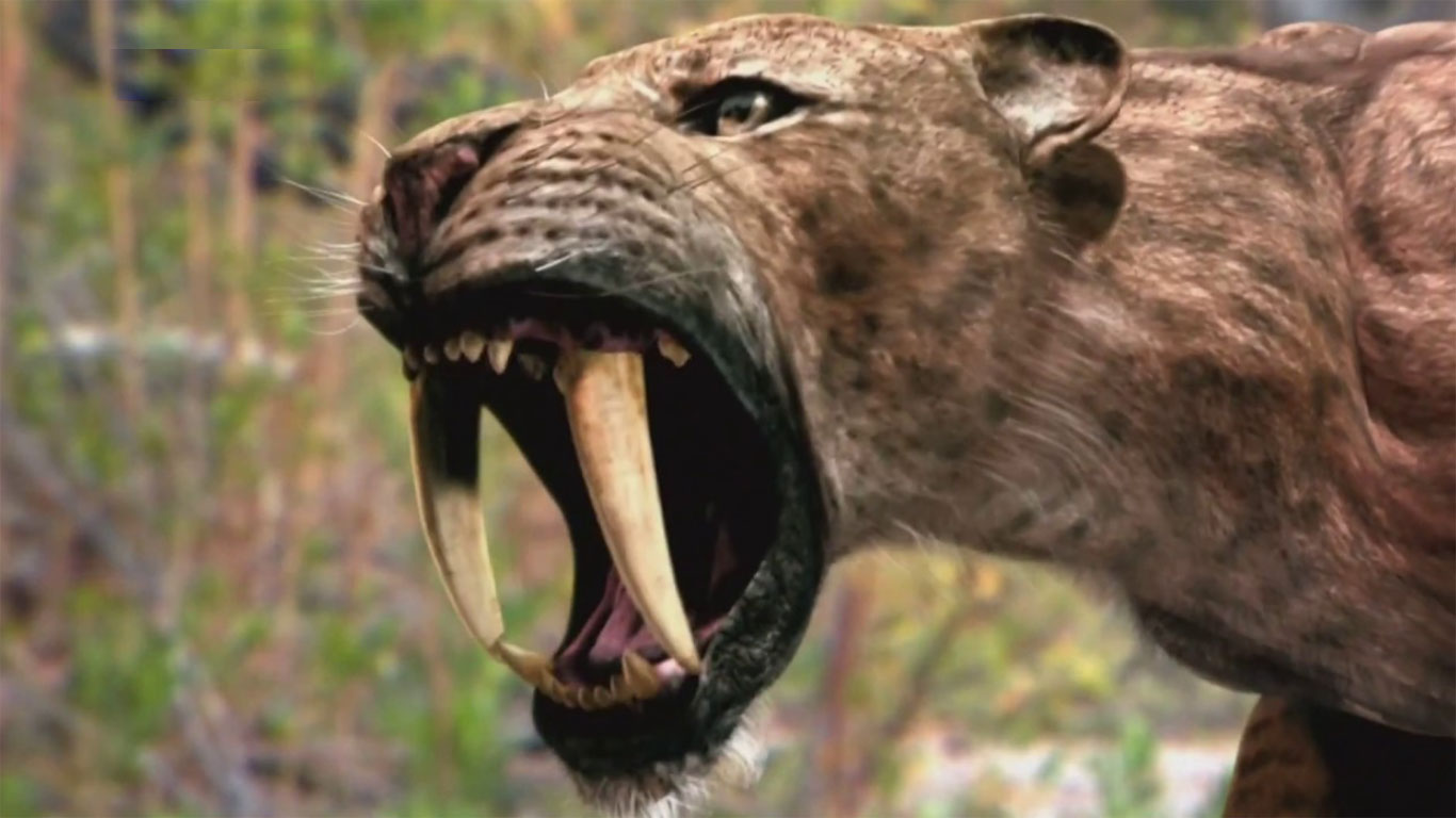 Kılıç dişli kaplan meğerse Kayseri'de yaşıyormuş: 7.7 milyon yıllık fosil bulundu