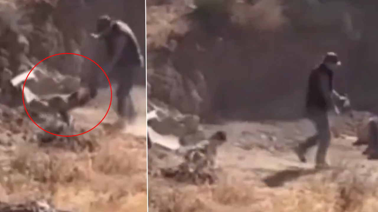 Köpeğe şiddet uygulayan şüpheli tutuklandı!