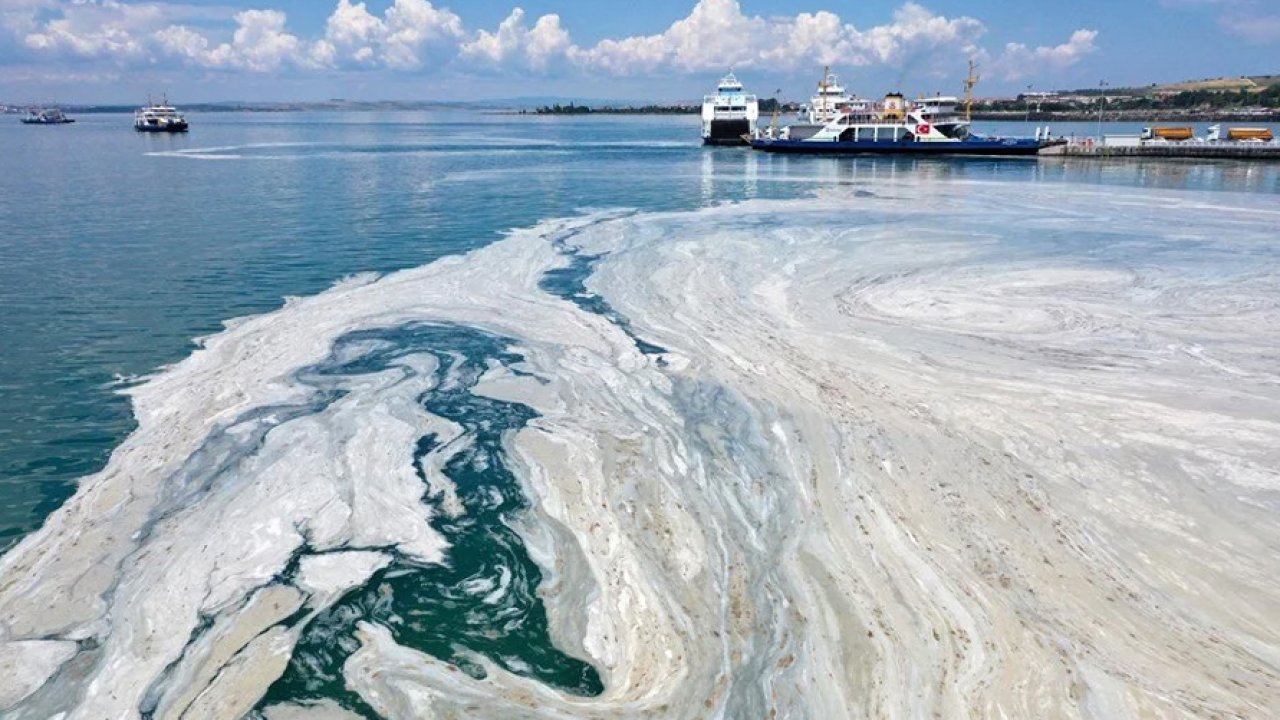 Marmara Denizi’nde müsilaj geri döndü: Balıkçıların ağları salya doldu!