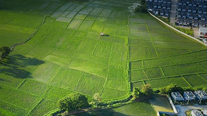 TOKİ 29 ilde 449 arsa satacak: Satış yapılacak iller ve başvuru detayları belli oldu