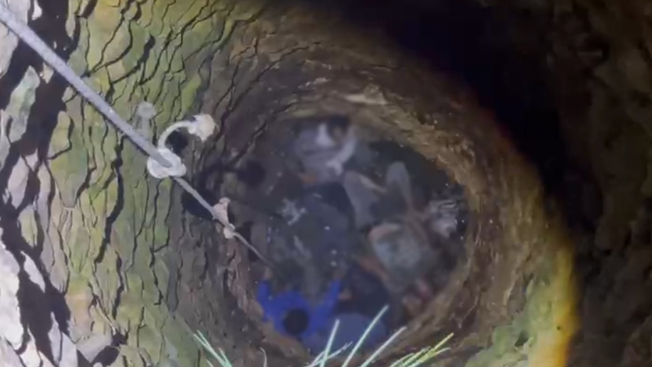 Su kuyusunda facia: 4 kişi zehirlenerek hayatını kaybetti!