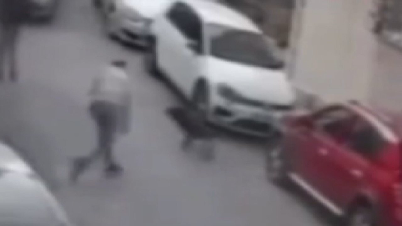 İzmir'de minik cana acımasız saldırı: Köpeğe kemerle şiddet uyguladı!