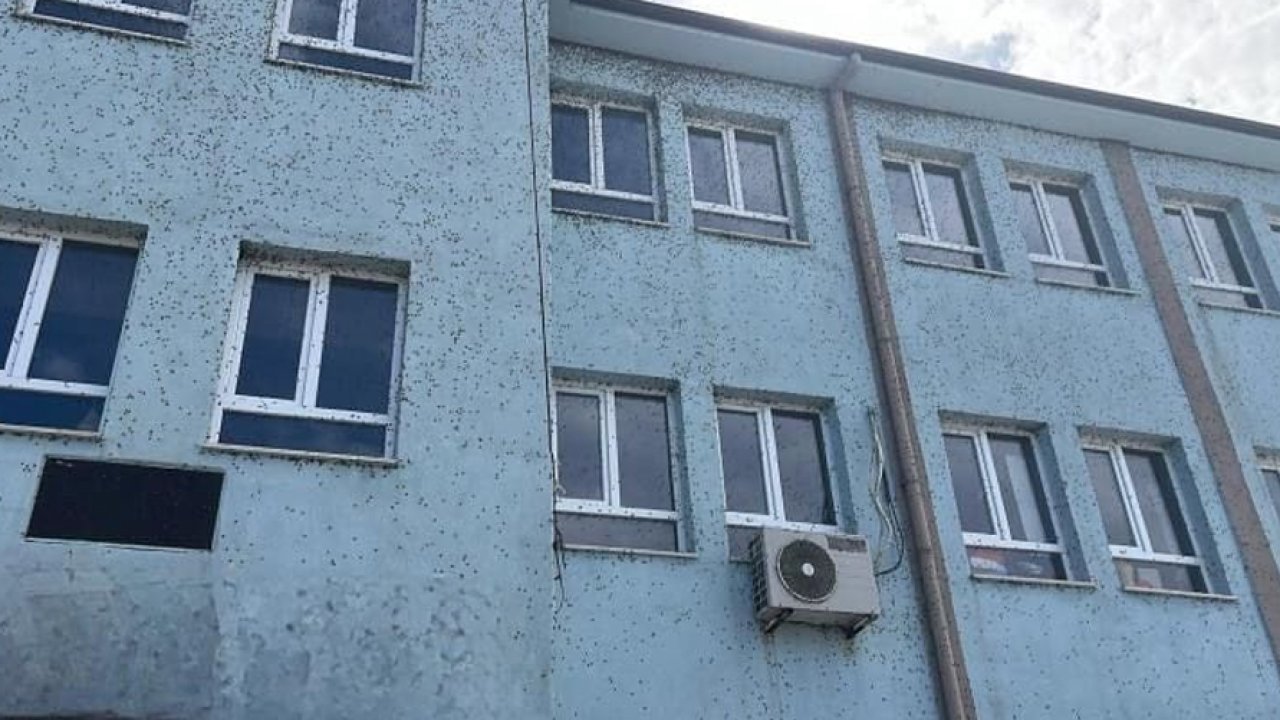 Bütün mahalleyi sardı: Vatandaşlar sakağa çıkamaz hale geldi!