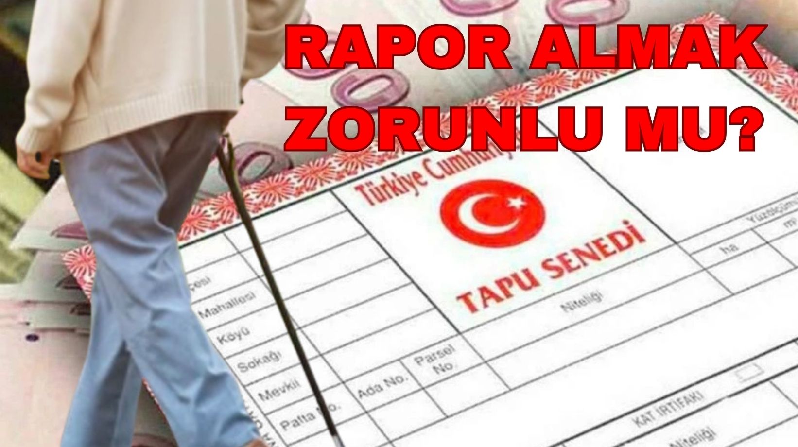 65 yaş üstüne rapor zorunluluğu mu bulunuyor? Tapu ve Kadastro Genel Müdürlüğü'nden jet açıklama!