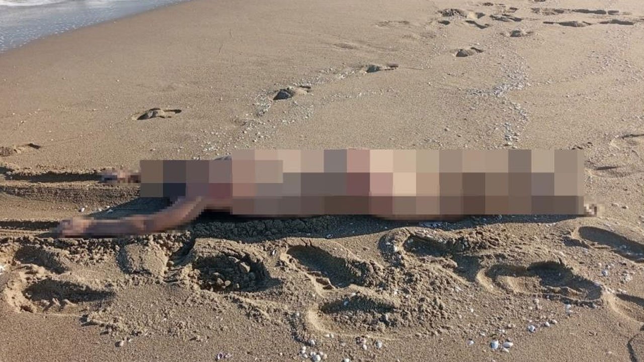 Sakarya sahilinde bulundu! Korkunç olay